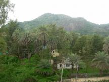 Mount Abu Hill Station - Hotels in Abu